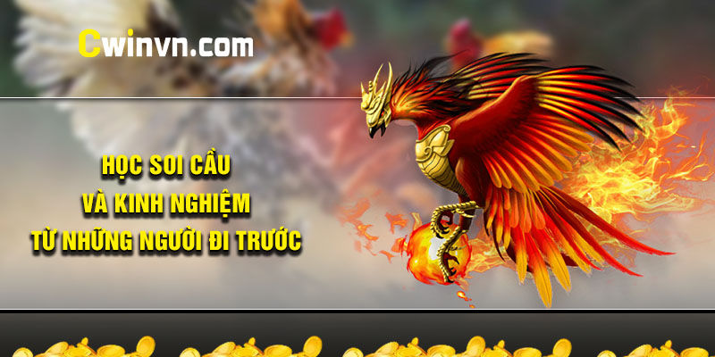 Học soi cầu và kinh nghiệm từ những người đi trước