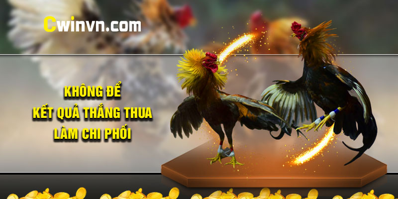 Không để kết quả đá gà thắng thua làm chi phối 