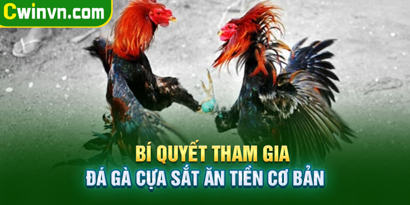 Bí quyết tham gia đá gà cựa sắt ăn tiền 