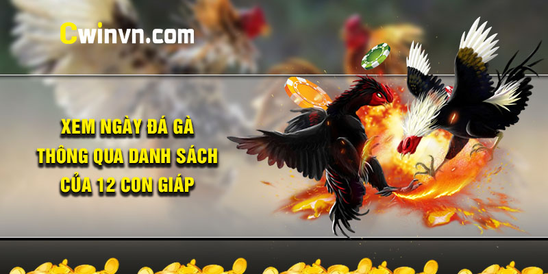 Xem ngày đá gà thông qua danh sách của 12 con giáp Xem ngày đá gà thông qua danh sách của 12 con giáp