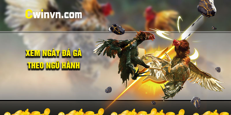 Xem ngày đá gà theo ngũ hành Xem ngày đá gà theo ngũ hành